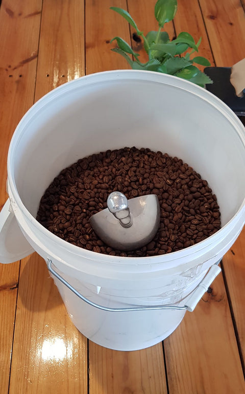 Coffee beans and scoop inside a large white bucket.