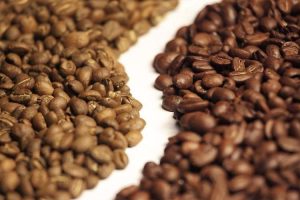 Arabica or Robusta Coffee Beans